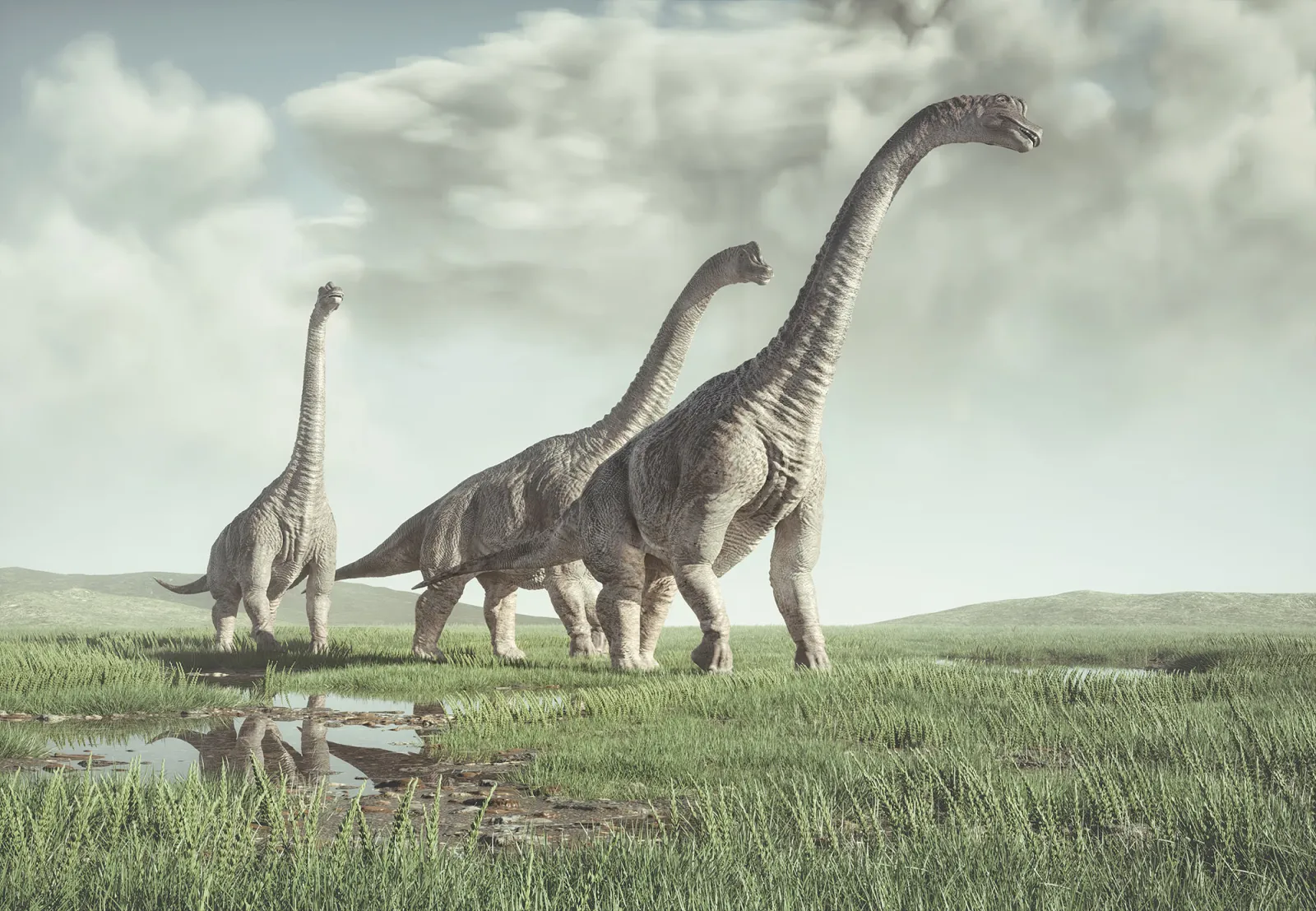 Fototapeta Prehistoryczne dinozaury — powiększenie wzoru