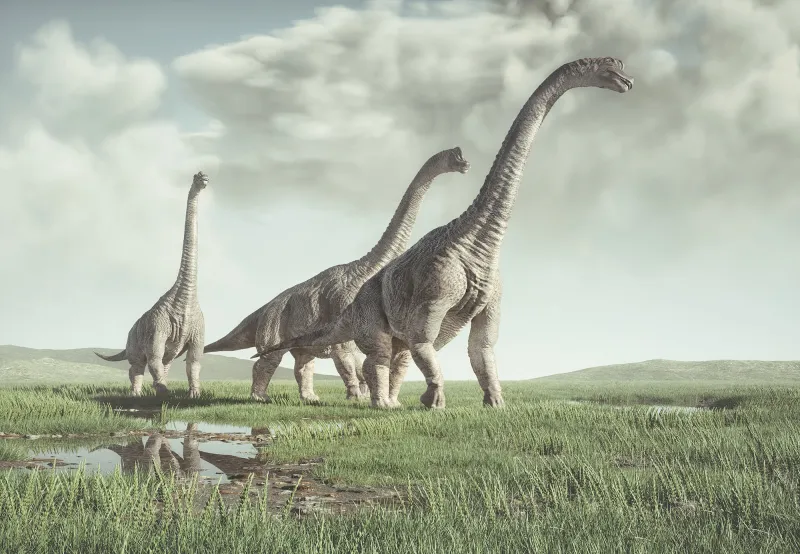 Fototapeta Prehistoryczne dinozaury