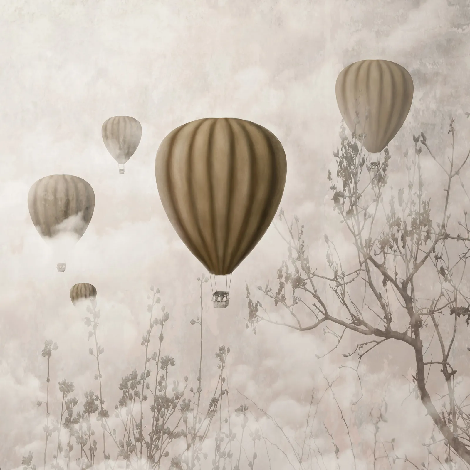 Fototapeta Balony we mgle — powiększenie wzoru
