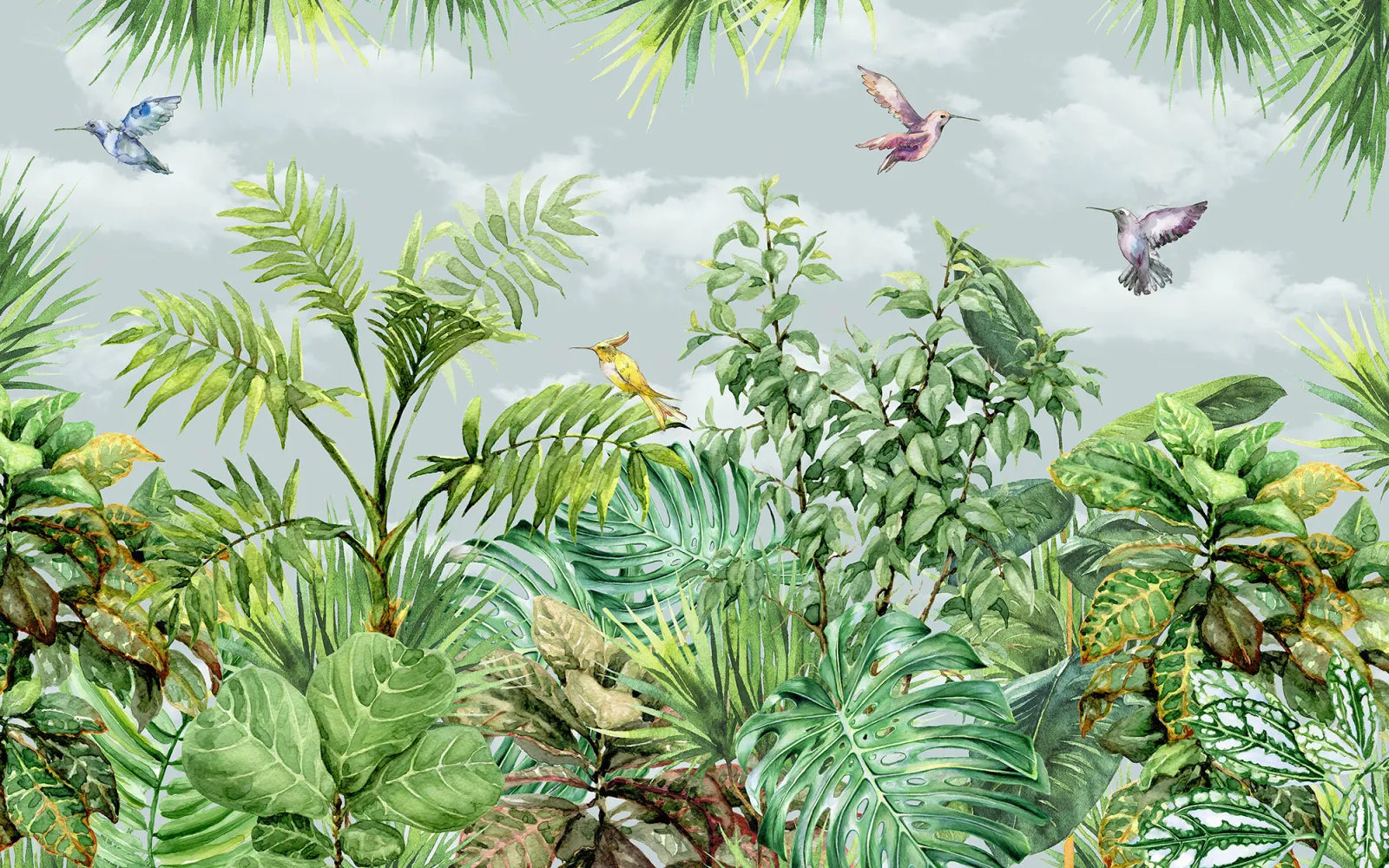 Fototapeta Tropikalna Dżungla z Kolibrami — powiększenie wzoru